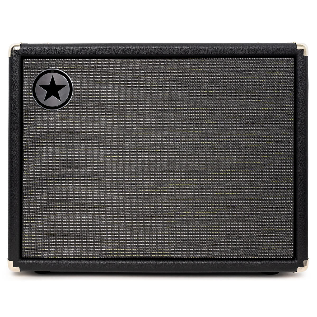 Blackstar Amps Unity Pro bass cabinet front