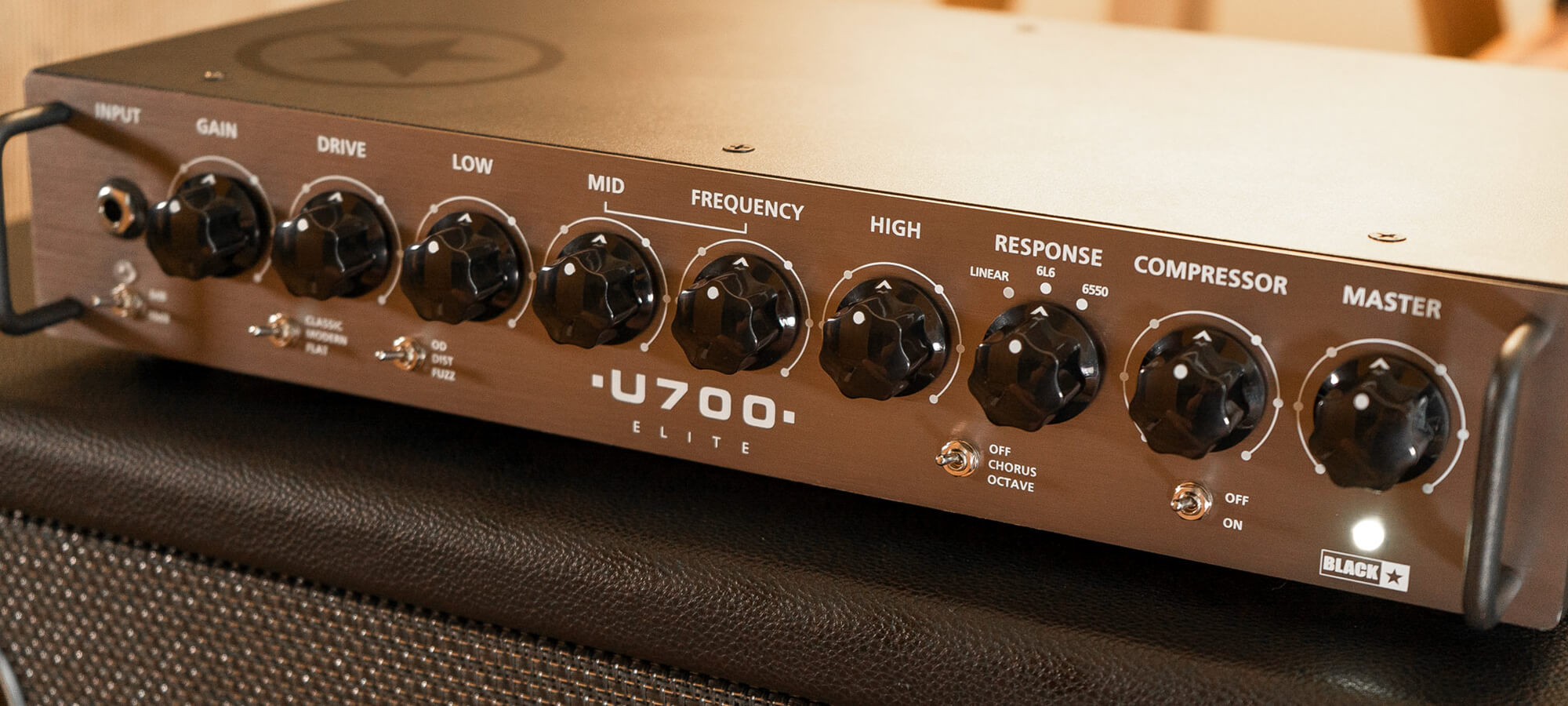 Blackstar Amps Unity Pro 700 Bass head